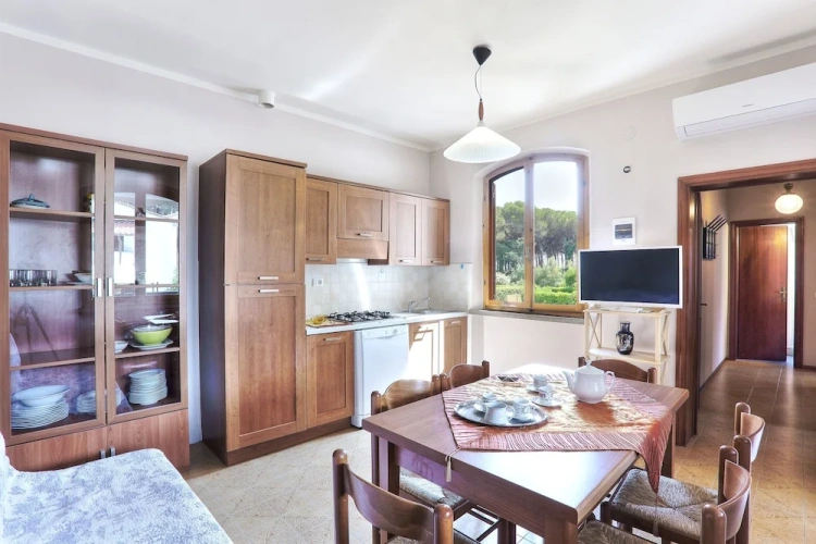 Comfort Apartment