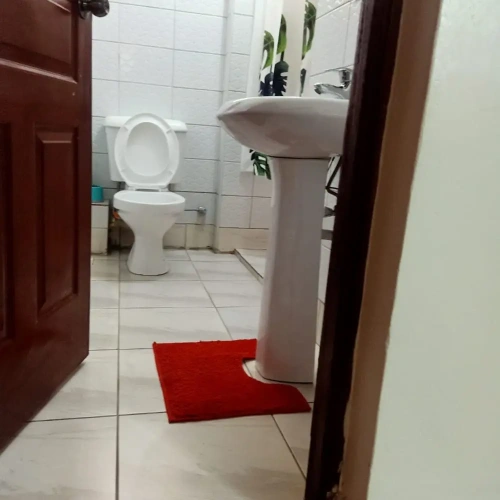 Double Apartment
