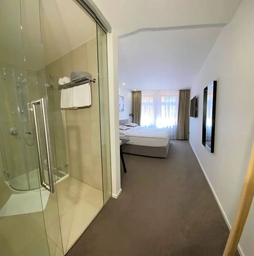 Business Double room with street view