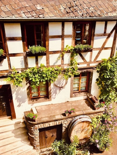 Standard Single room with balcony and with view