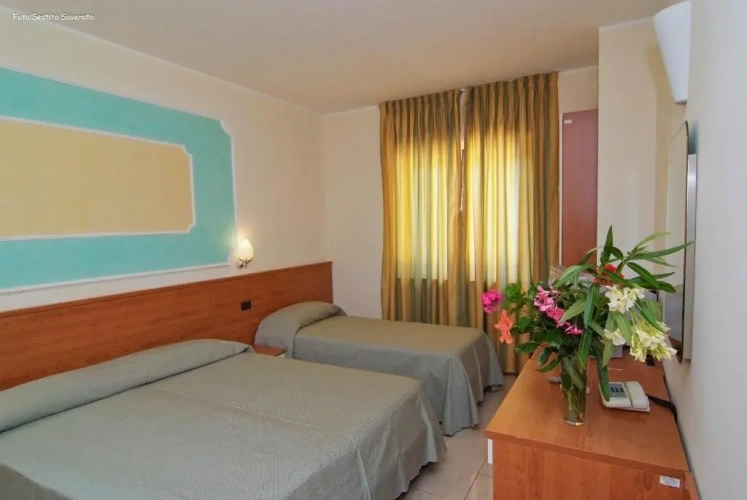 Standard Double room with balcony and with view