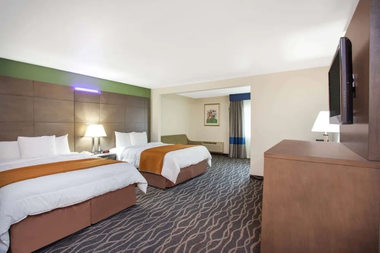 Quadruple Suite