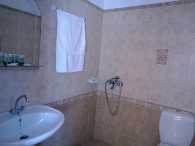 Basic Twin room
