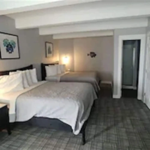 Quadruple Suite