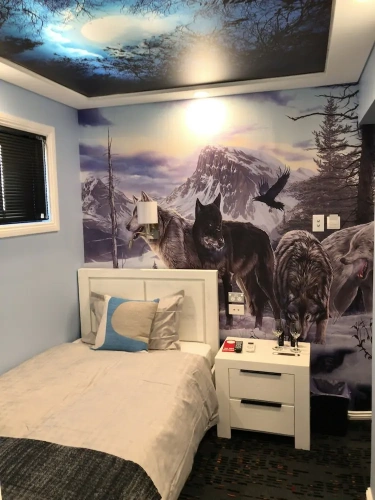 1 Bedroom Deluxe Single room