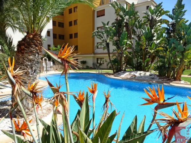 Apartment Eleonor - Punta Prima