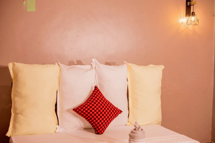 Standard Single room with mountain view