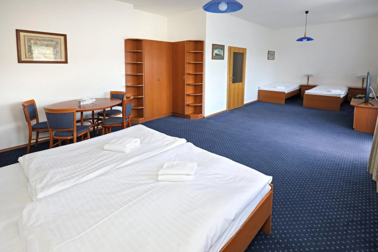 Hotel Laguna Slapy