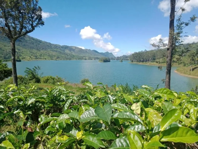 1 Bedroom Deluxe Quadruple room with mountain view