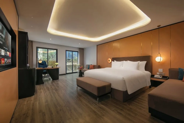 Luxury Double room with city view