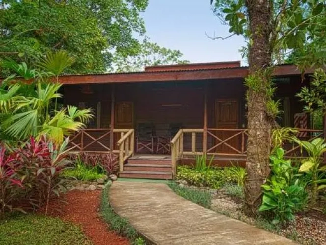 1 Bedroom Standard Double room