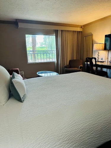 Premier Quadruple room