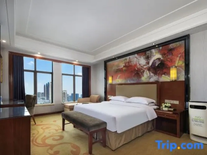 Deluxe Suite with city view