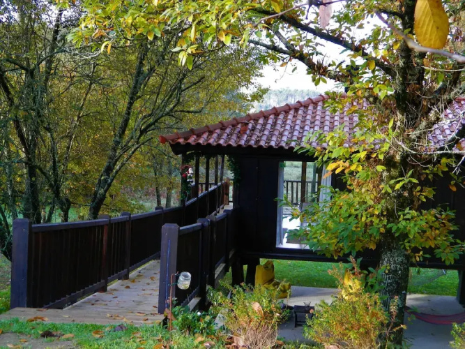 Tree Pool Villa in Arcos de Valdevez