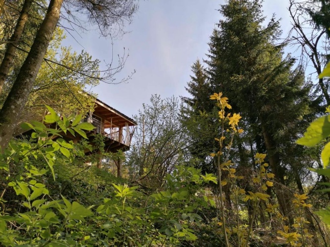 Double Suite with mountain view