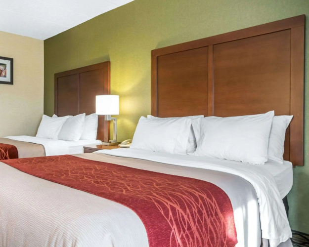 Comfort Inn Winchester