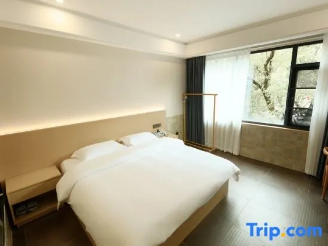 Standard Double room with street view