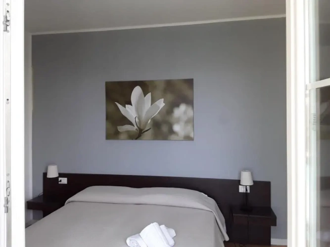 Standard Double room with balcony and with view