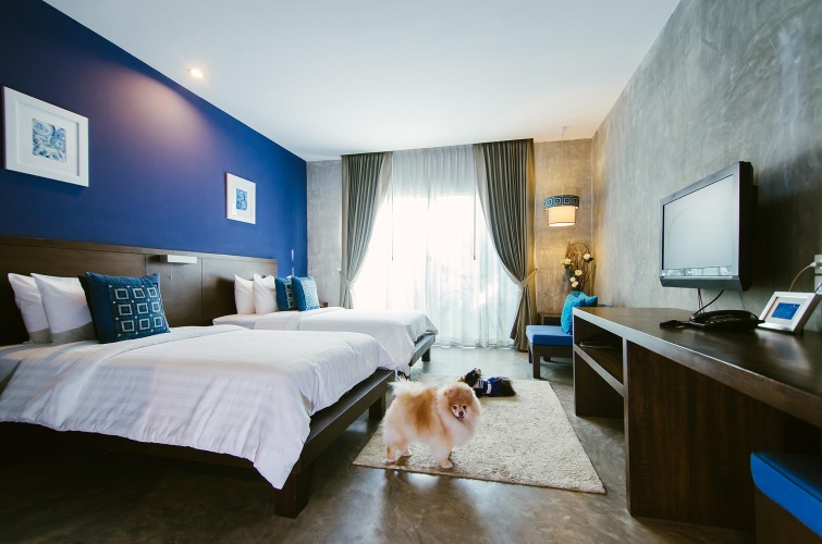 Deluxe Twin room