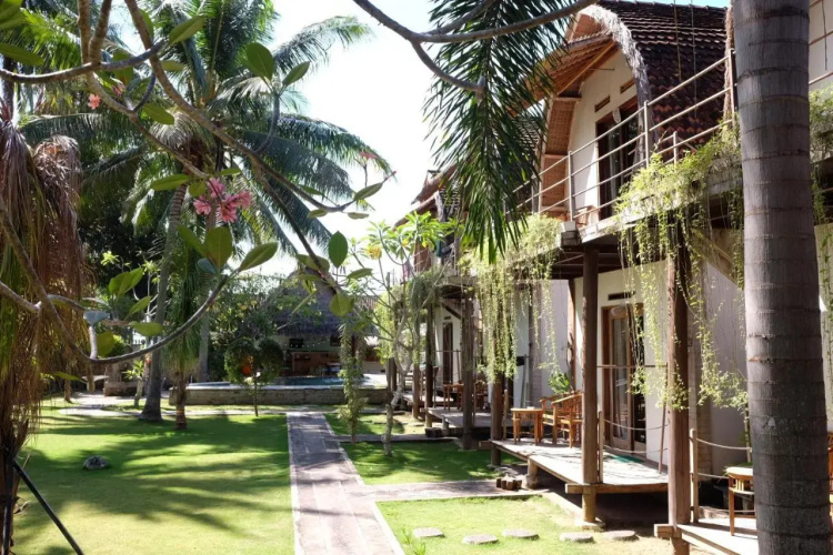Tentacle Bali