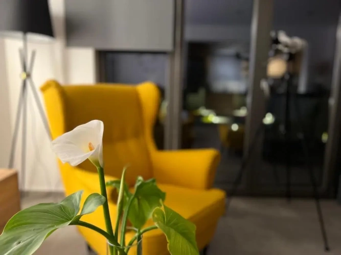 2 Bedrooms Villa