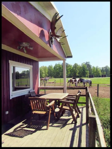 EddyLou Ranch