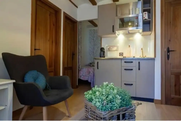 Deluxe Apartment with view