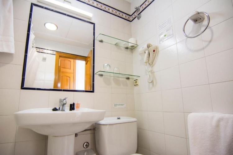Superior Twin room with garden view