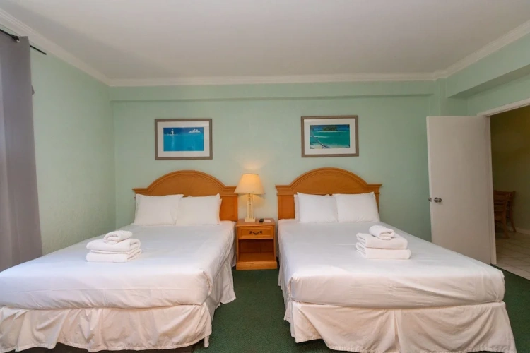 1 Bedroom Apartment