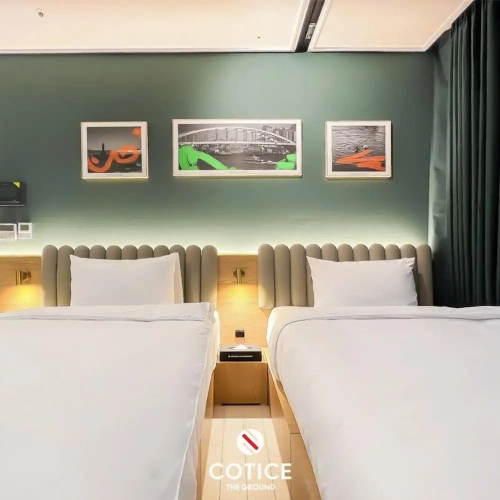 Standard Twin room