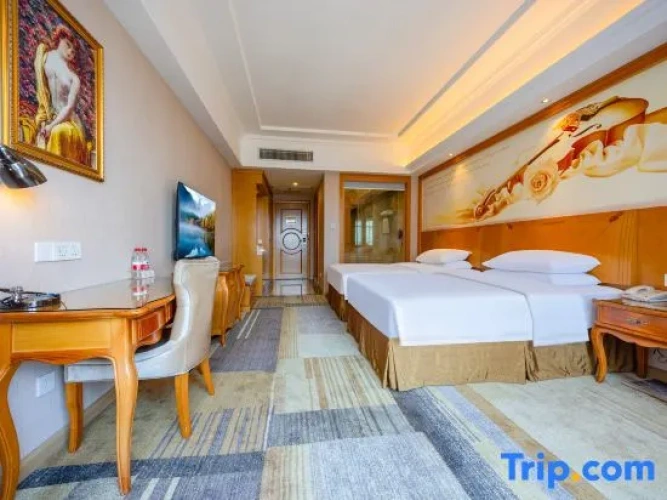 Deluxe Twin room with city view