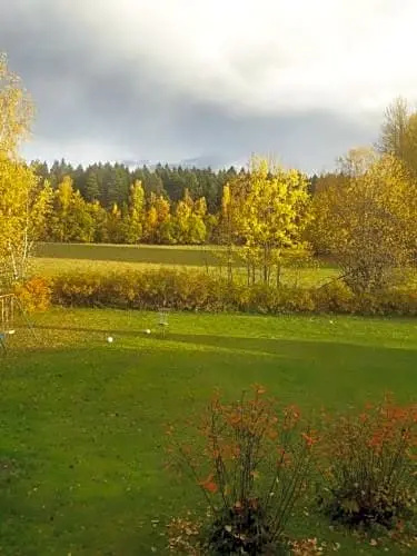 Sikosaaren Aitta