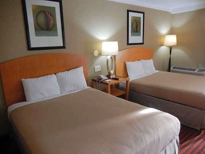 Standard Quadruple room