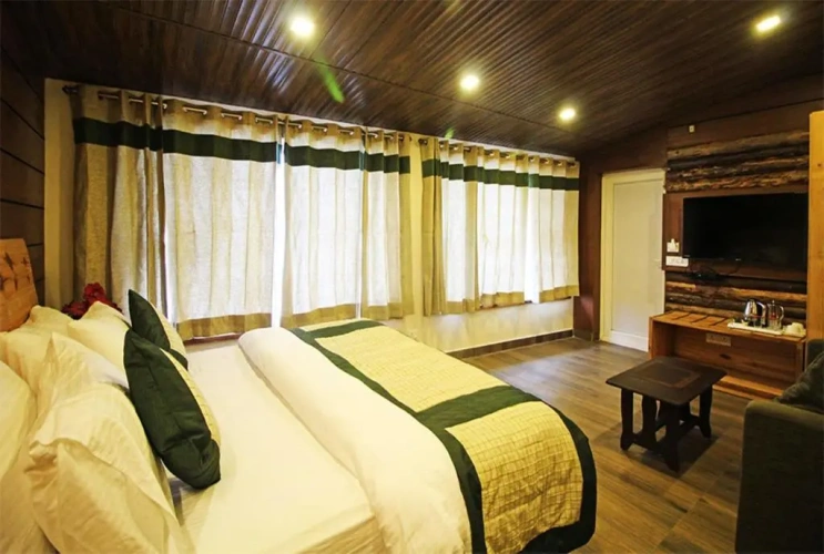 Standard Double room with mountain view