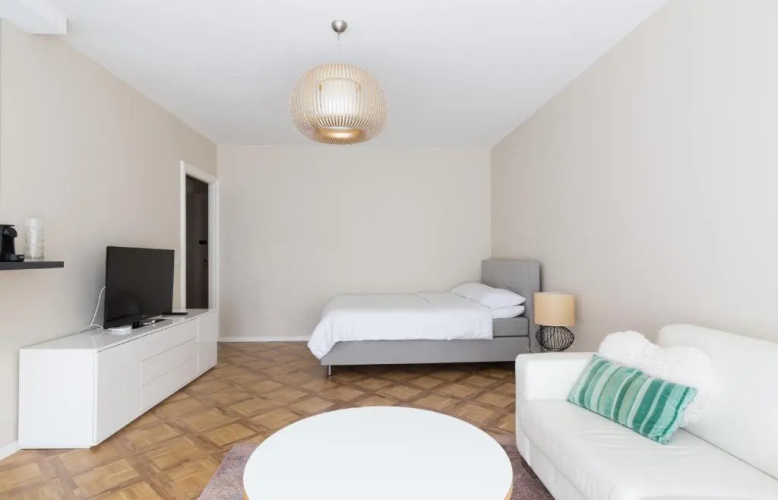 Cosy Studio Central Geneva with Parking