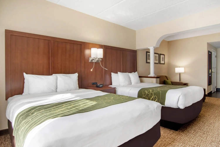 Quadruple Suite