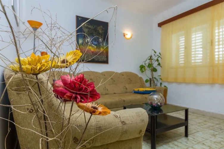 Apartment Petar