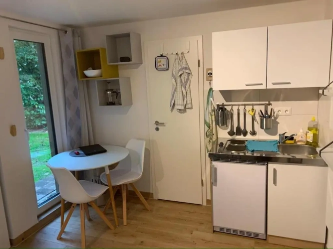 Apartment with garden view