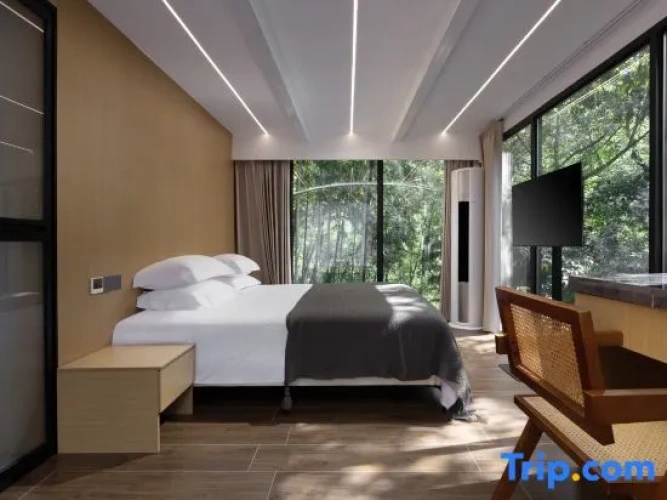 Standard Double room with view