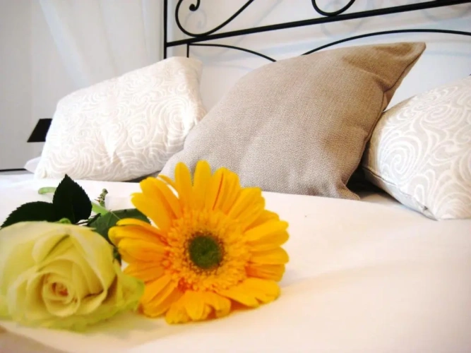 Deluxe Double room with garden view