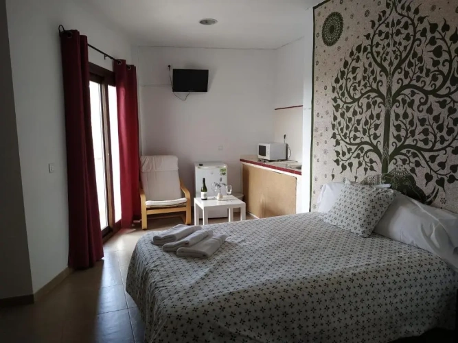 Standard Double room with balcony and with view