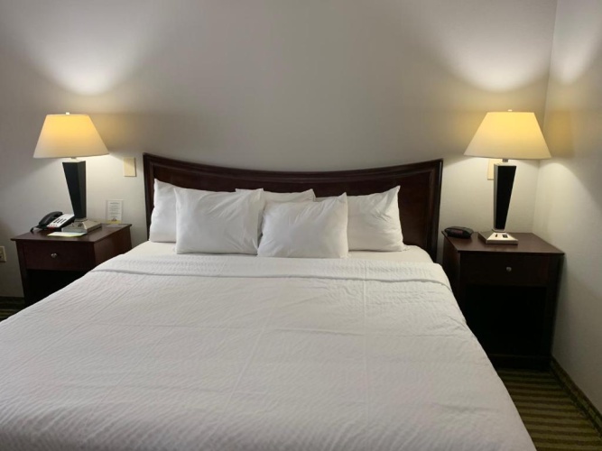 Standard room