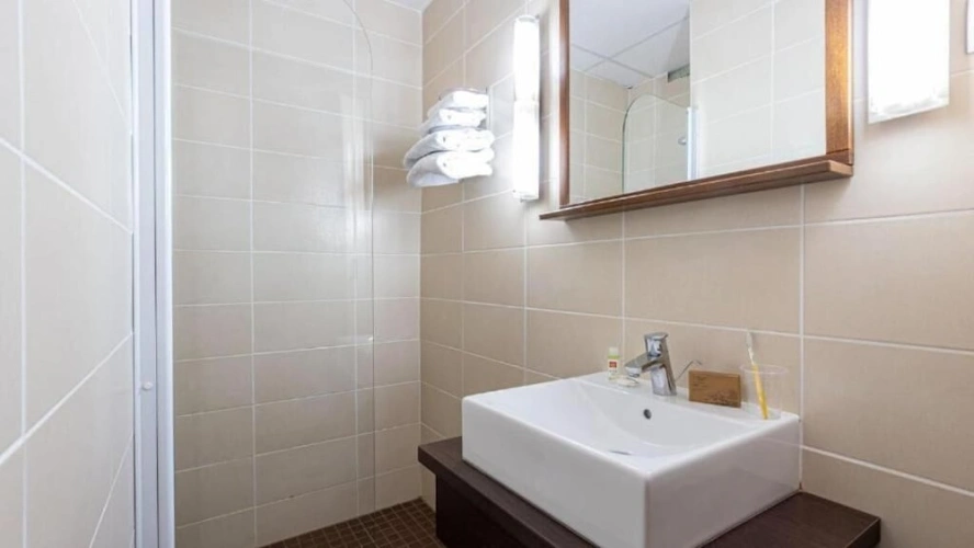 Standard Twin room with land view