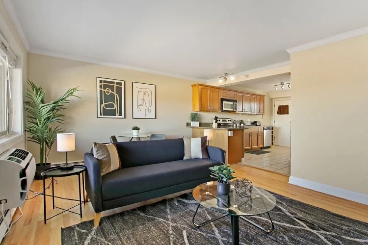 1 Bedroom Apartment