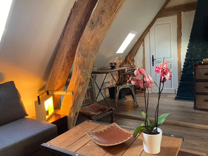 Standard Attic room