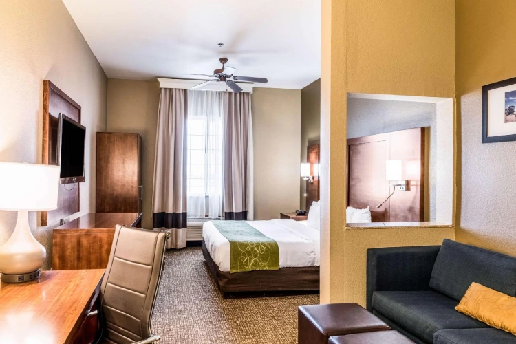 1 Bedroom Suite