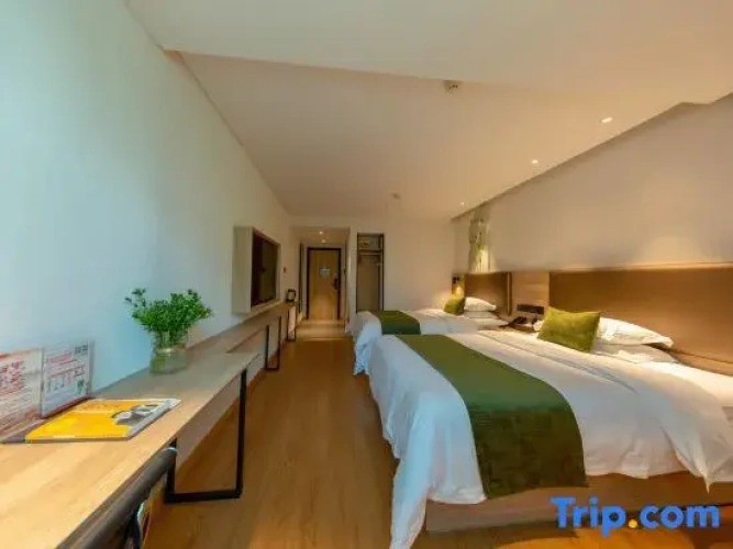 Superior Double room with street view
