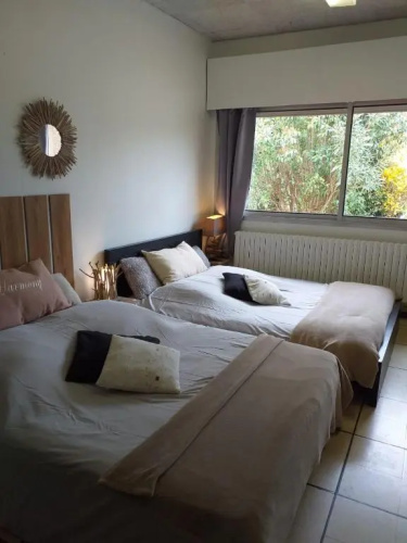 Chez Naomi