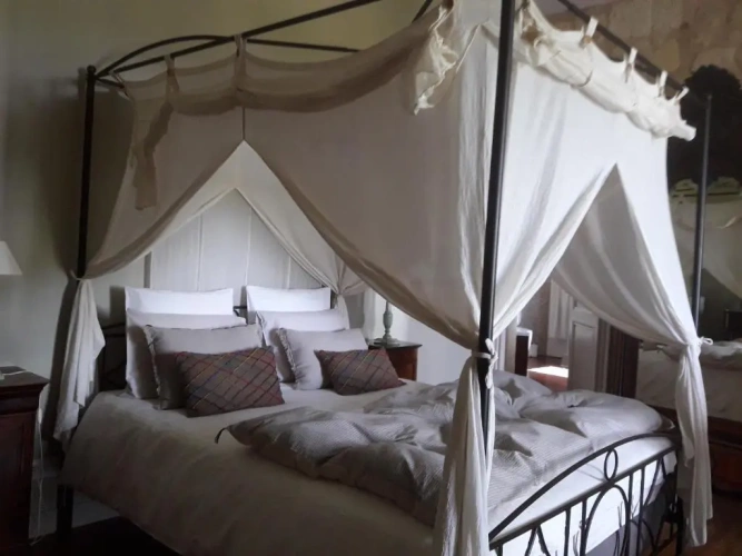 Superior Double room with pool view