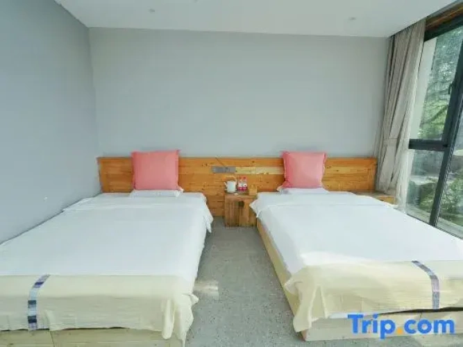 Standard Twin Family room
